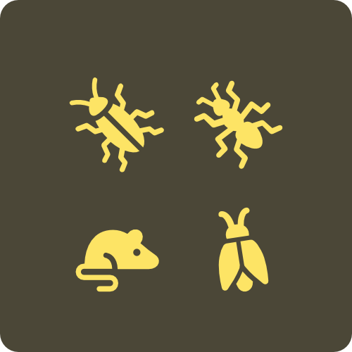 Pest and Disease image
